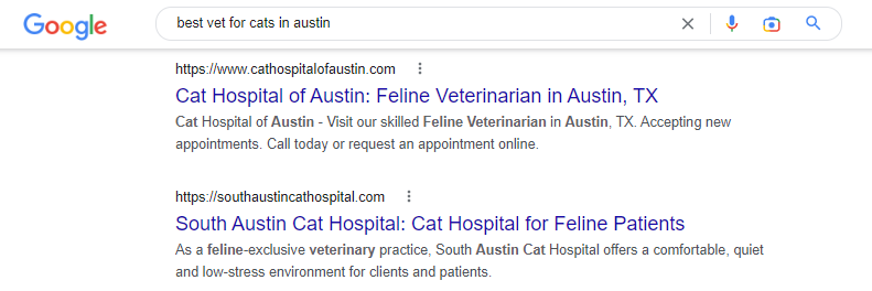 mejor veterinario para gatos en austin